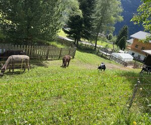 Schmied in Oberdrum