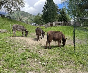 Schmied in Oberdrum