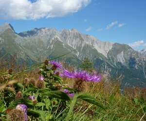 LEDERERHOF